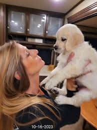 New here. Wanted to introduce my Daisy Rae. She is the first EC Golden  Retriever I've ever had and she is super special!!!