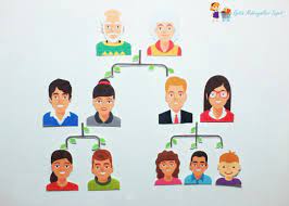 Aile Soy Agaci Nasil Hazirlanir 4 Sinif Eodev Com
