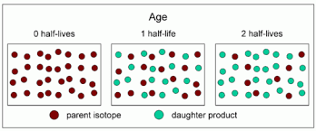 Radiometric dating involves dating rocks or other objects by measuring the extent to which different radioactive isotopes or nuclei have decayed. Relative And Absolute Dating Flashcards Quizlet