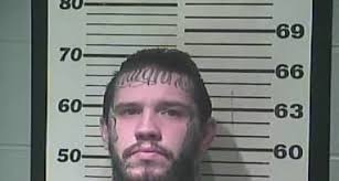 ᐅ Domestic Violence Registry