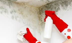 Essigsäure reagiert auf kalk und wird dadurch neutralisiert. Schimmel Im Schlafzimmer Was Kann Ich Dagegen Tun