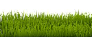Free Image On Pixabay Background Border Grass Green Grama Desenho Grama Grafico Vetorial Download the perfect background images. pixabay background border grass