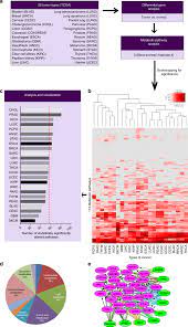Sexual exploits chapter 4 maret 23, 2021. Pan Cancer Analysis Of Transcriptional Metabolic Dysregulation Using The Cancer Genome Atlas Nature Communications