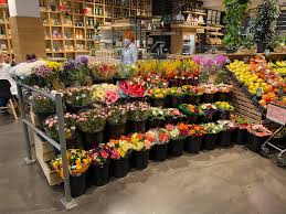 But whenever i bring one home, the flowers lose their luster. Flower Power Gmbh Facebook