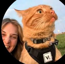 Shop — ace run roasting