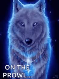 Animated photo wolves en 2019 wallpapers de lobos fondo. Wolves Gifs Tenor