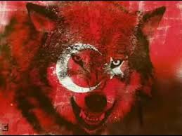 Aslan Sesi Youtube