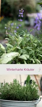Winterharte Krauter Winterharte Krauter Winterharte Pflanzen Garten Und Winterharte Pflanzen