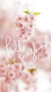 This pin was discovered by neliya. Cute Spring Hd Wallpapers For Android Best Android Wallpapers Spring Wallpaper Hello Spring Wallpaper Iphone Wallpaper