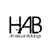 Profile for Holden American Bulldogs
