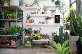 This indoor house plant strikes a lovely balance between order and chaos. Indoor Plants For Interior Design Chicago Coach House Plants