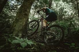 Motorcycle + ramming into cactus = cacti forest. Welcome To The 2020 Pinkbike Field Test Cross Country Bike Edition Pinkbike