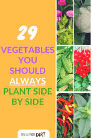 Growing Some Vegetables Side By Side Can Have Positive Effects On One Or Both Of The Plants In Companion Gardening Companion Planting Garden Companion Planting