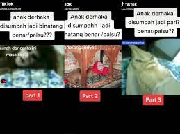 Mulai dari ikan pari hingga manusia tikus yang menakutkan. Kumpulan Video Ini Bikin Anak Tahun 90 An Auto Taubat Ada Anak Dikutuk Jadi Ikan Pari Indozone Id