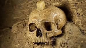 Une découverte scientifique inédite : un crâne vieux de 300 000 ans révèle  un chaînon manquant de l'évolution humaine