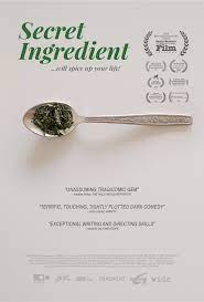 The secret ingredient is een amerikaanse romantische dramafilm uit het jaar 2020. Iscelitel 2017 Imdb