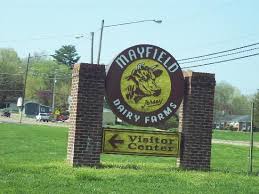 Mayfield Dairy Farm Mayfield Dairy Dairy Farms Farm Tour
