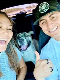 Freedom pictures from Stanislaus Shelter