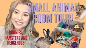 PET ROOM TOUR!