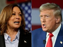 The Apprentice' Contestants and Staffers Endorse Kamala Harris in Fiery  Anti-Trump Takedown: An 'Erratic Leader with a Fragile Ego'