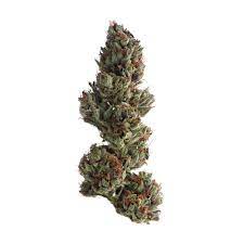 From there, the seeds were sprouted and grown. Runtz Aka Runtz Og Marijuana Strain Information Leafly