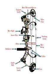 View the top 5 compound bows of 2021. Best Compound Bow Reviews 2017 Top Rated For The Money