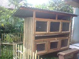 Walaupun demikian, masih sedikit orang yang bingung bagaimanakah cara untuk membuat kandang marmut tersebut. Desain Dan Cara Membuat Kandang Kelinci Sendiri Yang Murah Peternakan Dan Perkebunan