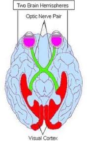 Image result for Sensation