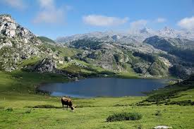 Distintos plegamientos y glaciaciones han conformado su tortuoso paisaje, de altivas. Wohnmobil Index Durch Den Picos De Europa In Spanien Turmundial