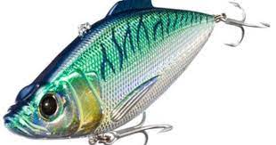 Today S Salt Water Fishing Lures Can Be Just As Good As Live Bait Salt Water Fishing Fishing Lures Best Fishing Rods