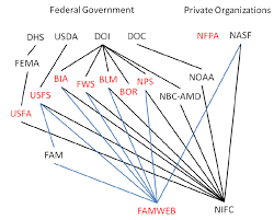 1 Organizational Chart Of Entities Collecting And Or