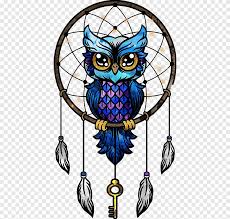 See more ideas about reptiles and amphibians, reptiles, amphibians. Multicolored Owl On Dream Catcher Art Dreamcatcher Little Owl Paper Drawing Dreamcatcher Hd Vertebrate Owl Png Pngegg