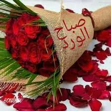 صبآحكم عطر وقلآئد فل صور متنوعة لـ صبآح آلخير 2019 مداد الجليد Flower Painting Good Morning Cards Good Morning Flowers