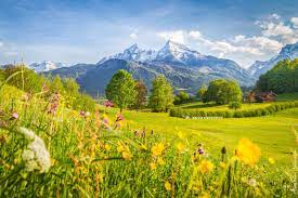 Norge danmark sverige italia tyskland nederland østerrike kroatia tsjekkia frankrike polen slovenia ungarn sveits belgia. 10 Fantastiska Naturomraden I Tyskland Freedomtravel
