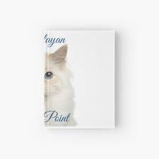 Maybe you would like to learn more about one of these? Lilac Ragdoll Hardcover Journals Redbubble