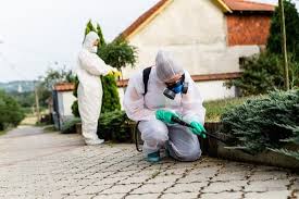 How do i get rid of head lice and head lice eggs? Woodlice In The House Pest Exterminators