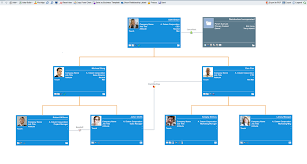 relationship charts reveal the relationships in crm crm