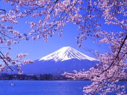 Mt Fuji Sakura Japan Mont Fuji Fuji Printemps