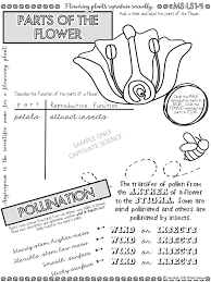 Cells are the building blocks of life. Differentiation Using Doodle Notes
