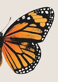 Monarch Butterfly Right Butterfly Wing Vintage Butterflies Art Print By Eclectic At Heart Monarch Butterflies Art Metal Art Prints Butterfly Art Print