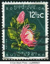 South African Protea Stamp Protea Flower South African Art Protea Art