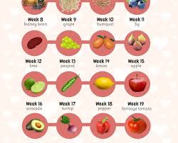 12 Most Popular Pregnancy Food Size Chart