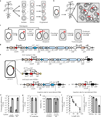 Image result for Beige 1990 ARA Services Inc