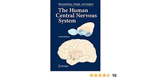 What does this anatomy and though ruth hull's workbook is not a traditional anatomy coloring book, it provides quality help for organization and. The Human Central Nervous System A Synopsis And Atlas 9783540346845 Medicine Health Science Books Amazon Com