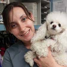 Pet Distance Reiki in Brookfield, CT