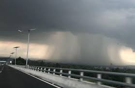 Maybe you would like to learn more about one of these? Hongo De Lluvia Que Es Y Por Que Alarmo A Todos En Santiago Del Estero La 100