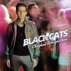 Image result for ‫دانلود تمام آهنگ های بلک کتس‬‎