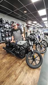 Image result for Bright Wineberry 1993 FXSTS