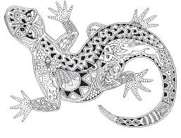There are three main categories of colors: Zentangle Lizard Vector Design Adult Coloring Stock Vector