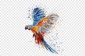Visit kidzone animals for fun facts, photos and activities about all sorts of animals. Parrot Bird Watercolor Painting Drawing Parrot Color Splash Splash Animals Png Pngwing